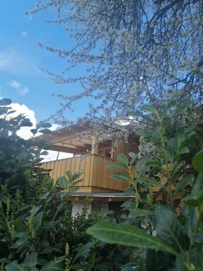 Appartement Seppi Innsbruck Exterior foto
